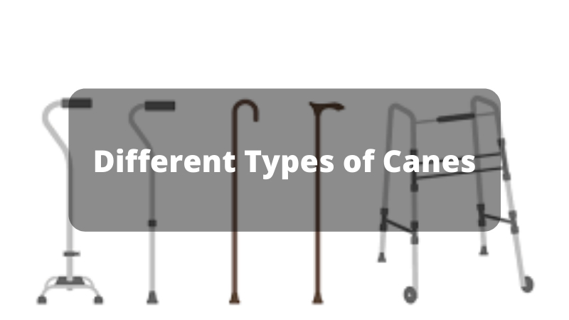 Different-Types-of-Canes